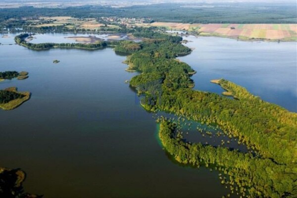 rawicki, Pakosław, Białykał, Dolina Baryczy | działki z WZ | od 1716 m&sup2; | media